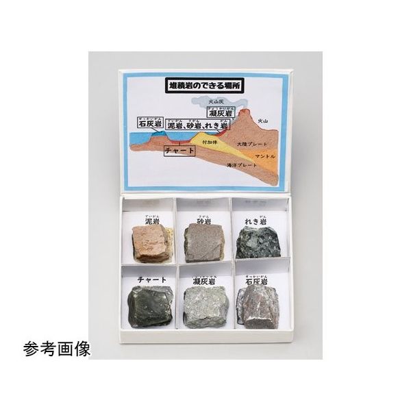 アズワン ミニ標本シリーズ 堆積岩6種セット 67-8047-13 1箱（直送品）