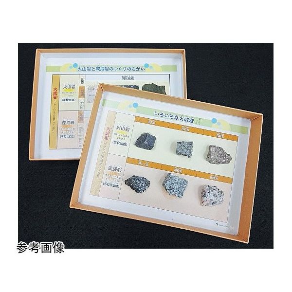 アズワン 代表的な火成岩とそのつくり 67-8046-96 1箱（直送品）