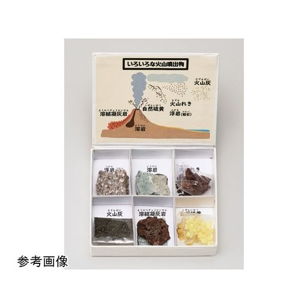 アズワン ミニ標本シリーズ 火山噴出物6種セット 67-8047-14 1箱（直送品）