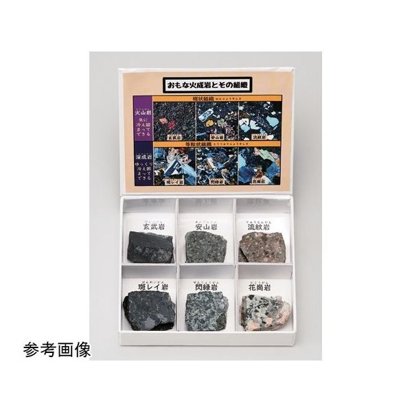 アズワン ミニ標本シリーズ 火成岩6種セット(研磨) 67-8047-16 1箱（直送品）