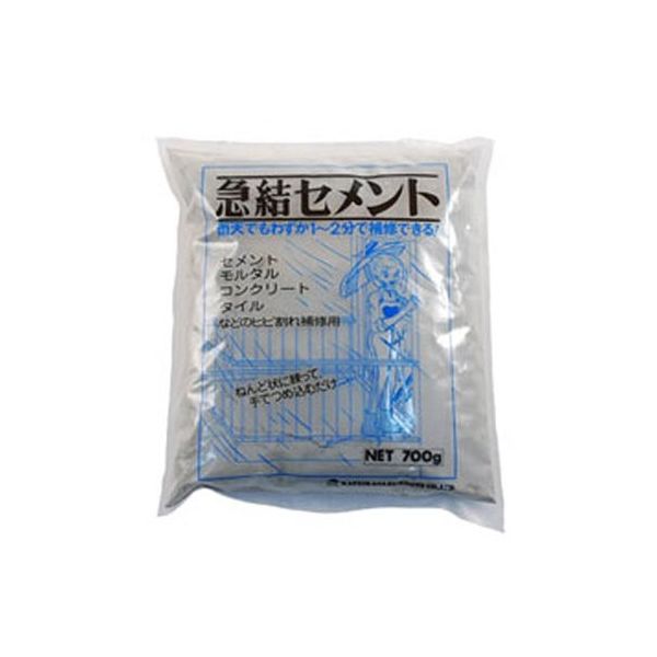 家庭化学工業 急結セメント 700g グレー 209885 1個 63-1866-92（直送品）