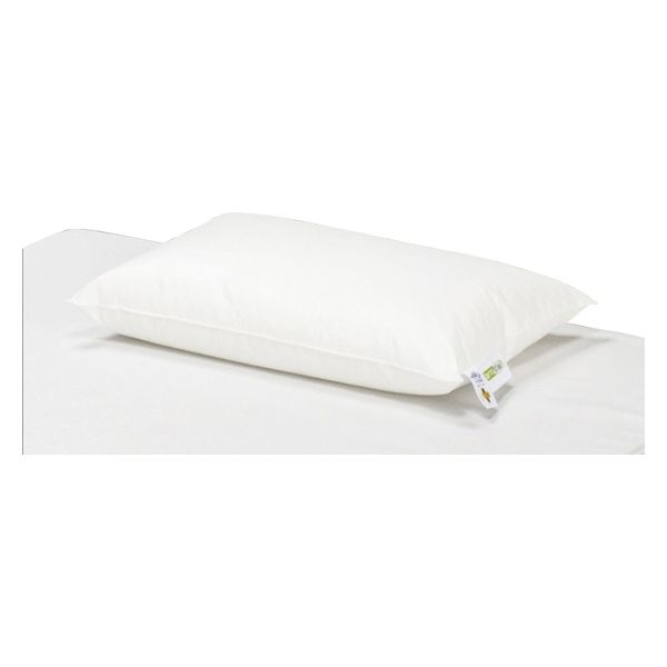 ピロピロ 30年の時を超えて・・・ヒロボー シャトルZX | ＜花鳥風月＆RC