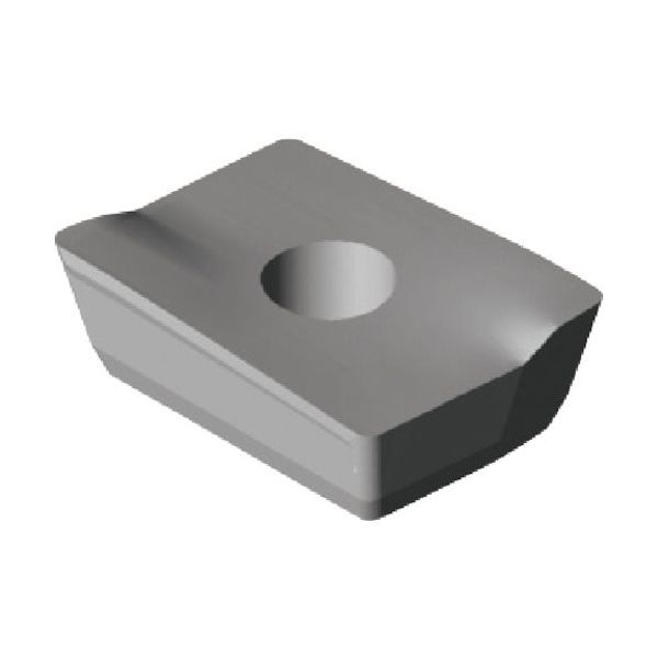 ワルタージャパン ワルター ミーリングチップ WAK15 APKT0903PPR-F55 1セット(10個) 228-1221（直送品）