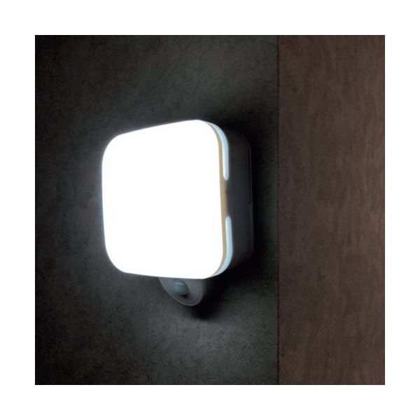 リーベックス カクピカ SLK500 1個 382-8961（直送品）