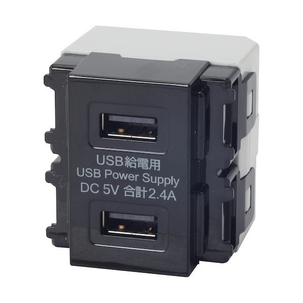 TERADA 埋込USB給電用コンセント USB-R3701BK 1個 455-5952（直送品）