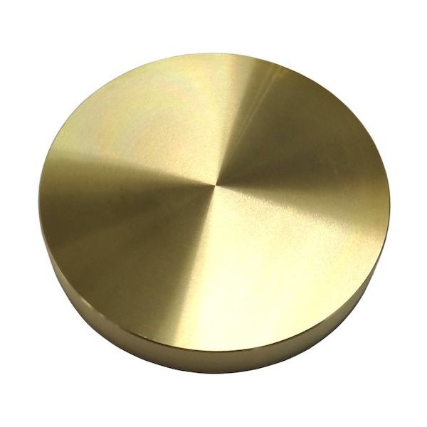 コノエ 測量用基準鋲 丸型 フラットφ60 彫刻無し SSBS-F-60 1個 571-0823（直送品）