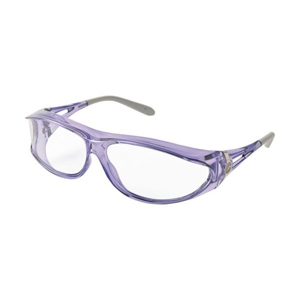 アックス PGー604CPU 保護メガネ PG-604 CPU 1セット(6個) 410-8638（直送品）