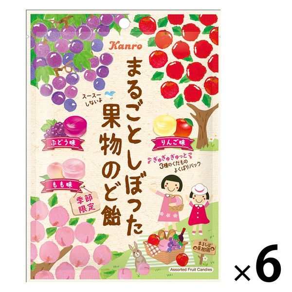 まるごとしぼった果物のど飴 80g 1セット(1袋×6) カンロ 飴 まるごとしぼった果物のど飴 80g 1セット(1袋×6) カンロ 飴