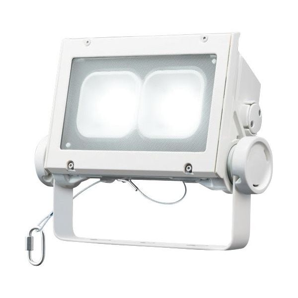 岩崎電気 岩崎 LED投光器(60クラス、超広角タイプ、昼白色タイプ) ECF6040SW/NSAN8/W 1台 535-6367（直送品）