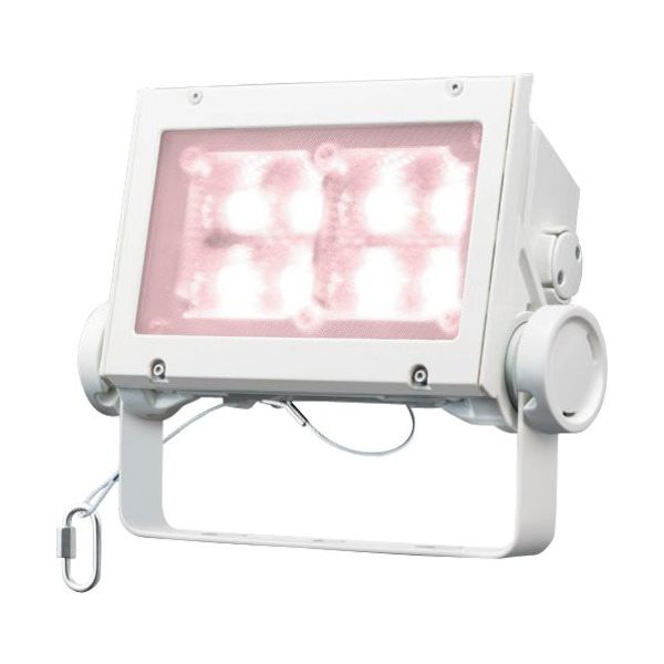 岩崎電気 岩崎 LED投光器(60クラス、広角タイプ、白色タイプ) ECF6040W/VWSAN8/W 1台 535-6317（直送品）