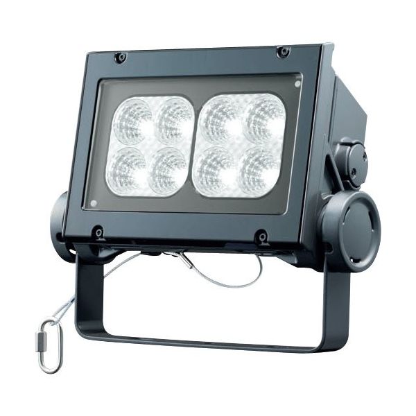 岩崎電気 岩崎 LED投光器(60クラス、中角タイプ、昼白色タイプ) ECF6040M/NSAN8/DG 1台 535-4793（直送品）