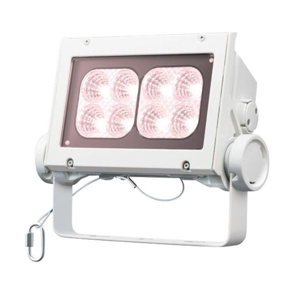 岩崎電気 岩崎 LED投光器(60クラス、中角タイプ、白色タイプ) ECF6040M/VWSAN8/W 1台 535-6328（直送品）