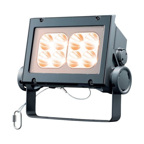 岩崎電気 岩崎 LED投光器(60クラス、狭角タイプ、電球色タイプ) ECF6040N/LSAN8/DG 1台 535-6339（直送品）