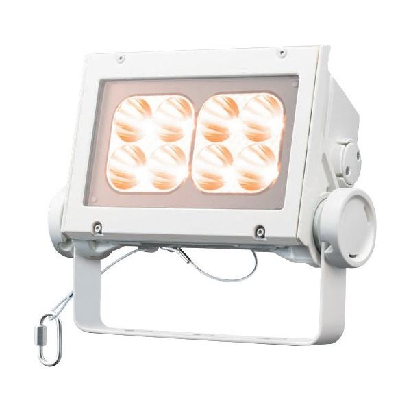 岩崎電気 岩崎 LED投光器(60クラス、狭角タイプ、電球色タイプ) ECF6040N/LSAN8/W 1台 535-6381（直送品）