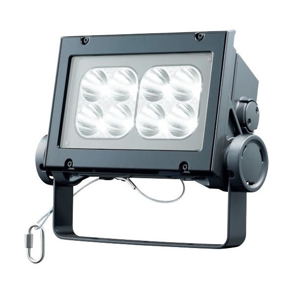 岩崎電気 岩崎 LED投光器(60クラス、狭角タイプ、昼白色タイプ) ECF6040N/NSAN8/DG 1台 535-7899（直送品）