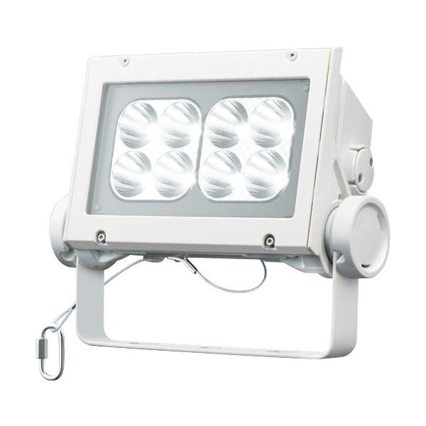 岩崎電気 岩崎 LED投光器(60クラス、狭角タイプ、昼白色タイプ) ECF6040N/NSAN8/W 1台 535-6394（直送品）