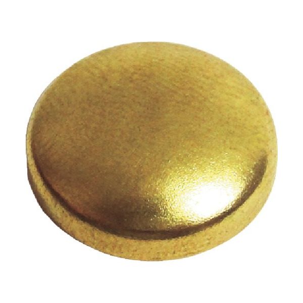 ダンドリビス いたずら防止キャップ16mm真鍮 BP C-MSXBCX-10 1パック(10組) 423-8736（直送品）