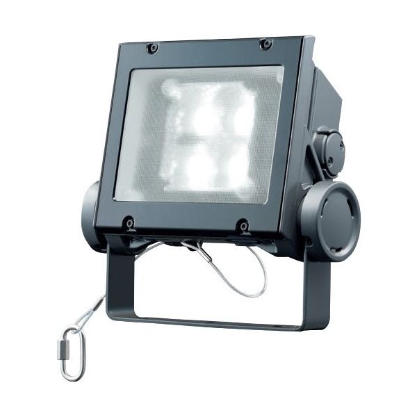 岩崎電気 岩崎 LED投光器(20クラス、広角タイプ、昼白色タイプ) ECF2040W/NSAN8/DG 1台 535-7955（直送品）