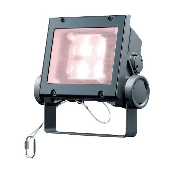 岩崎電気 岩崎 LED投光器(20クラス、広角タイプ、白色タイプ) ECF2040W/VWSAN8/DG 1台 535-6323（直送品）