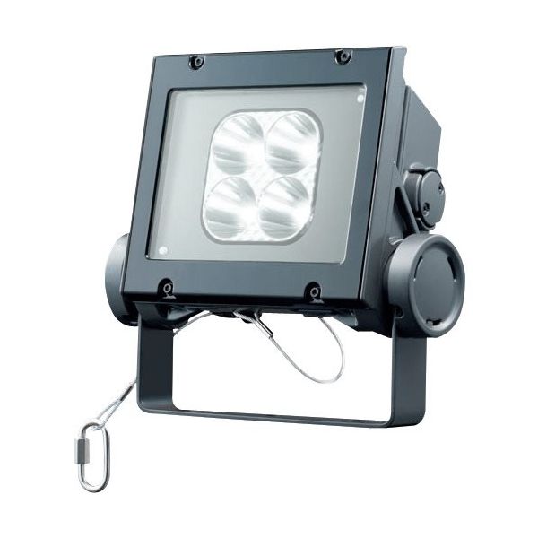 岩崎電気 岩崎 LED投光器(20クラス、狭角タイプ、昼白色タイプ) ECF2040N/NSAN8/DG 1台 535-6370（直送品）