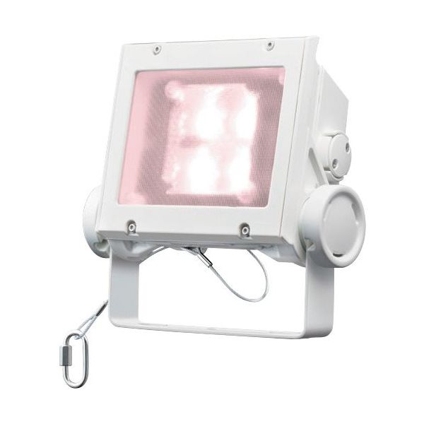 岩崎電気 岩崎 LED投光器(40クラス、広角タイプ、白色タイプ) ECF4040W/VWSAN8/W 1台 535-6371（直送品）