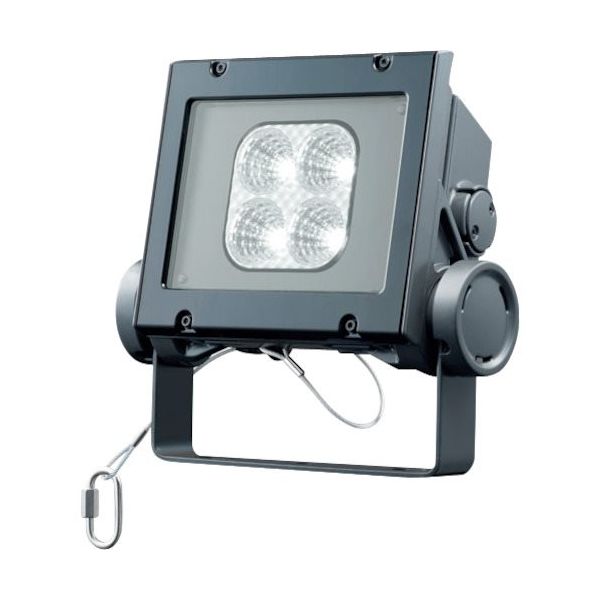 岩崎電気 岩崎 LED投光器(40クラス、中角タイプ、昼白色タイプ) ECF4040M/NSAN8/DG 1台 535-6399（直送品）