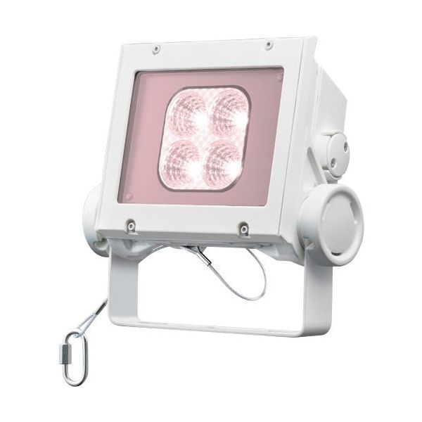 岩崎電気 岩崎 LED投光器(40クラス、中角タイプ、白色タイプ) ECF4040M/VWSAN8/W 1台 535-6359（直送品）