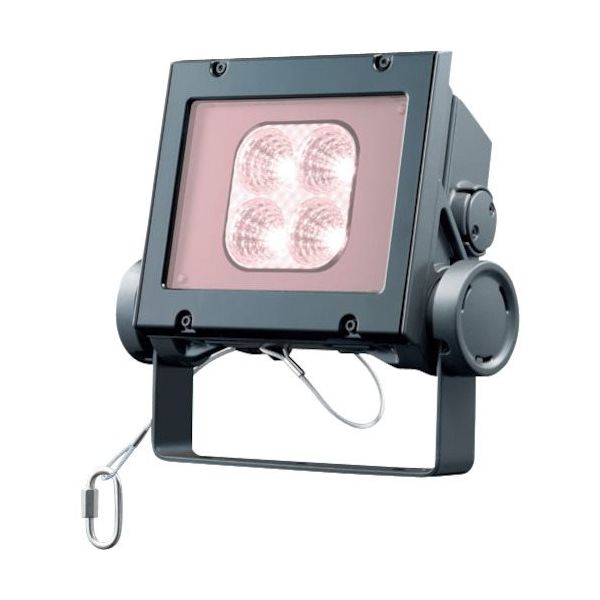 岩崎電気 岩崎 LED投光器(40クラス、中角タイプ、白色タイプ) ECF4040M/VWSAN8/DG 1台 535-7936（直送品）