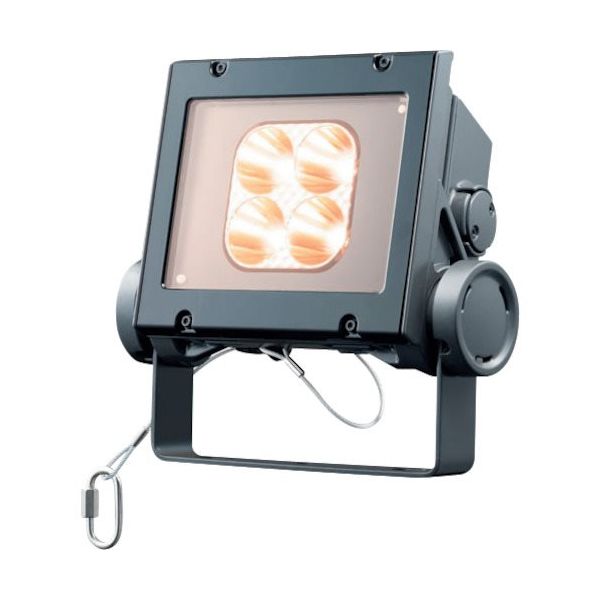 岩崎電気 岩崎 LED投光器(40クラス、狭角タイプ、電球色タイプ) ECF4040N/LSAN8/DG 1台 535-4801（直送品）