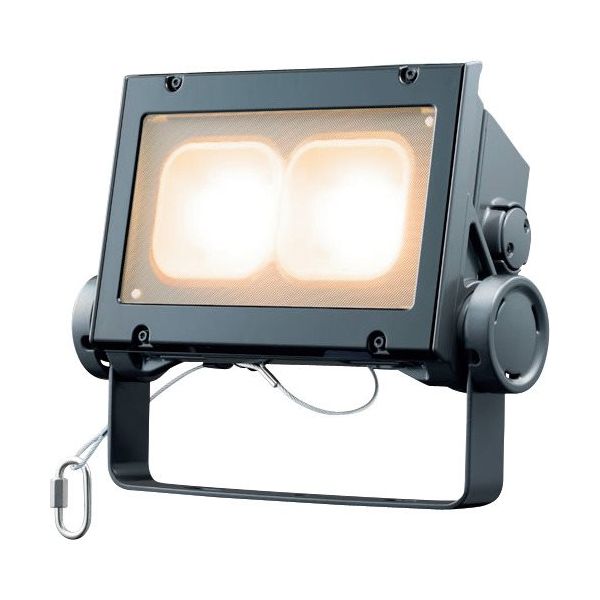 岩崎電気 岩崎 LED投光器(60クラス、超広角タイプ、電球色タイプ) ECF6040SW/LSAN8/DG 1台 535-7987（直送品）