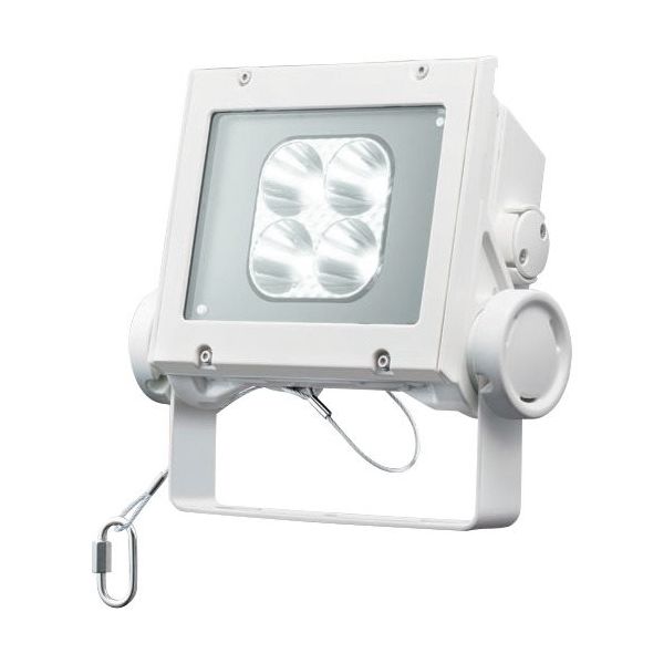 岩崎電気 岩崎 LED投光器(40クラス、狭角タイプ、昼白色タイプ) ECF4040N/NSAN8/W 1台 535-6400（直送品）