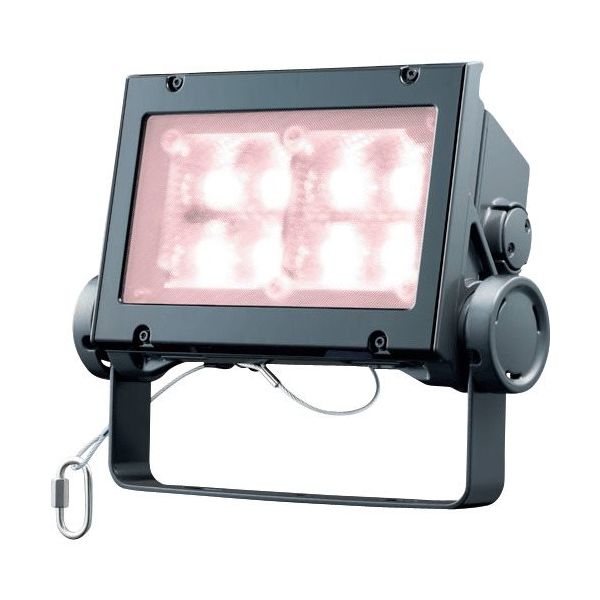 岩崎電気 岩崎 LED投光器(60クラス、広角タイプ、白色タイプ) ECF6040W/VWSAN8/DG 1台 535-4832（直送品）