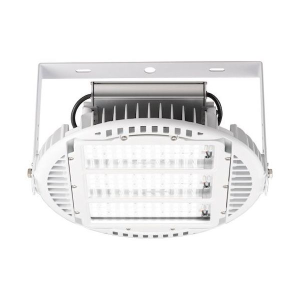 岩崎電気 岩崎 レディオックハイベイシータプラス高温70度対応形 EHWP15021W/NSAN9 1台 535-7950（直送品）