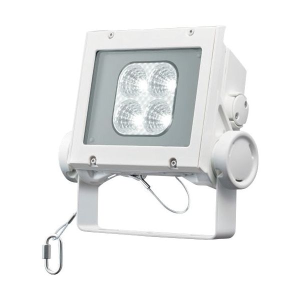 岩崎電気 岩崎 LED投光器(40クラス、中角タイプ、昼白色タイプ) ECF4040M/NSAN8/W 1台 535-6406（直送品）