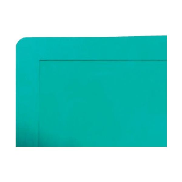 ブラストン 粘着マットフレーム 600X1200MM用 グリーン BSC-84100-612 1枚 572-2789（直送品）