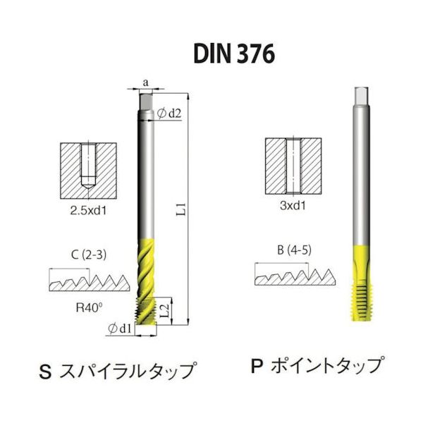 NOGA DIN-376 一般用ポイントタップXT5