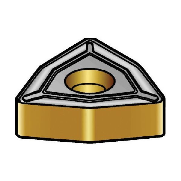 サンドビック SANDVIK バーピーリング用チップ(340) 3005 TNMX 15 09-2 1セット(5個) 579-7551（直送品）