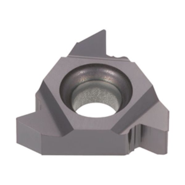 タンガロイ タング・スレッド 外径用60°ねじインサート ER/Lー60 AH8015 16ERG60-M 1セット(5個)（直送品）