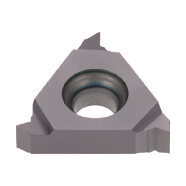 タンガロイ タング・スレッド 外径用55°ねじインサート ERー55 AH8015 16ERG55 1セット(5個) 432-7798（直送品）