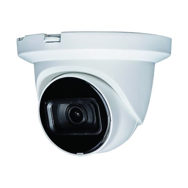 マザーツール 2メガピクセル防水ドーム型POCカメラ MTPOC-FD01 1台 557-1974（直送品）