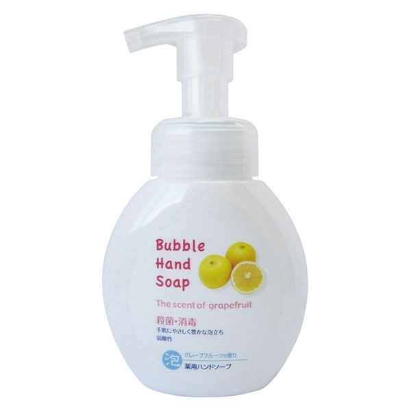 第一石鹸 薬用泡ハンドソープ本体250ML 4902050556468 1セット(250ml×3点)（直送品）