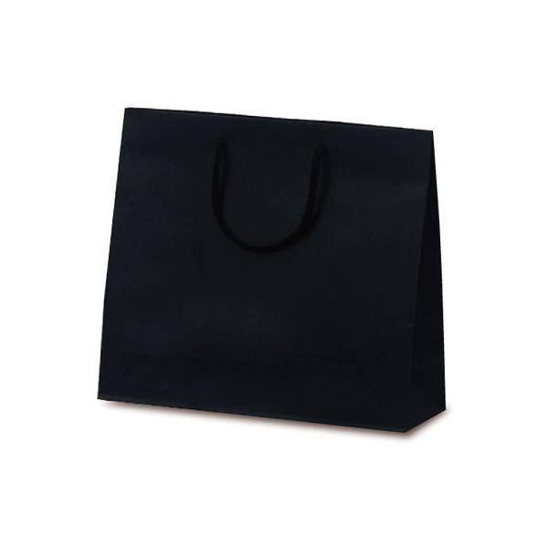 ベルベ 紙袋 手提袋 T-6 カラークラフト ブラック 1038 1包(10枚)（直送品）