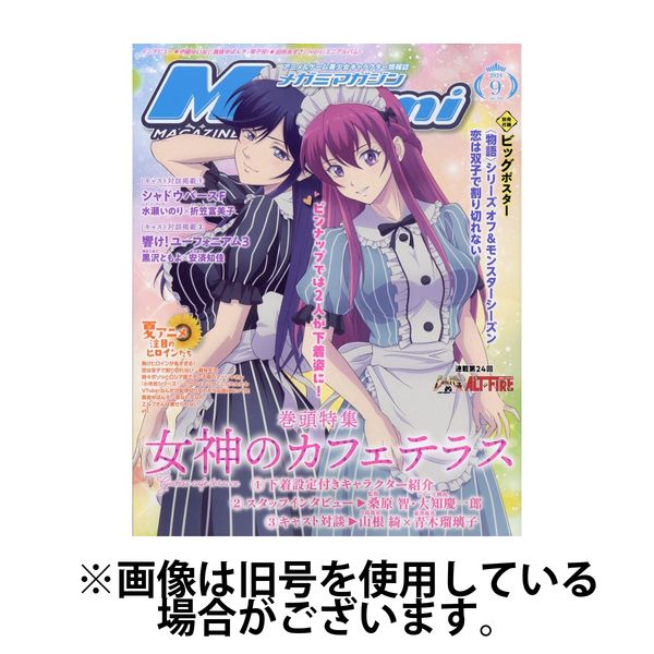 Megami Magazine(メガミマガジン） 2024/12/30発売号から1年(12冊)(雑誌)（直送品） - アスクル