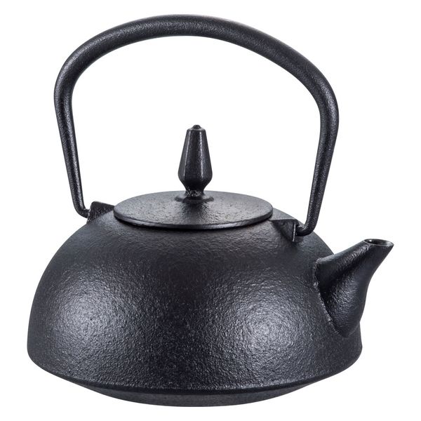 【美品】南部鉄器 南部鉄瓶　南部　池永　急須 南部鉄瓶 急須 粋 (sui) 池永鉄工 南部池永 約0.45L 南部鉄急須