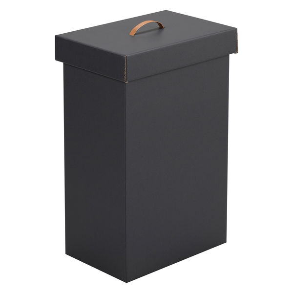 SANKA パッと組み立てフタ付きゴミ箱 40L 2台入 ブラック DBFG