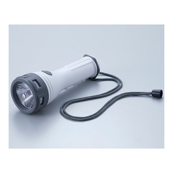 旭電機化成 LED防雨ライト AHL-2204 1個 64-4012-90（直送品）