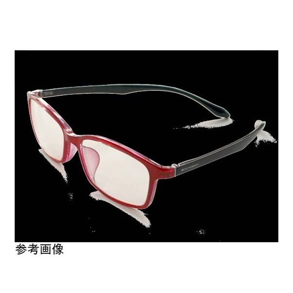 エッシェンバッハ光学ジャパン PCビュアー レッドブラック2.5度 67-7106-60 1個（直送品）