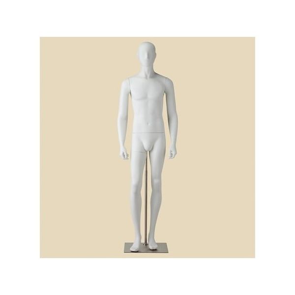 アズワン 紳士 全身腰受けリアルマネキン M 67-6609-45 1個（直送品）