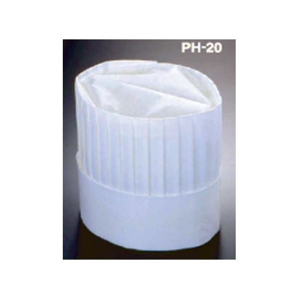 アズワン ニュータイプパリスハット(10枚入)200mm 67-6899-24 1セット(10枚)（直送品）