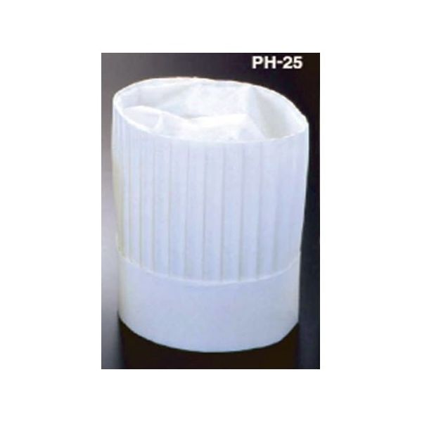 アズワン ニュータイプパリスハット(10枚入)250mm 67-6899-25 1セット(10枚)（直送品）